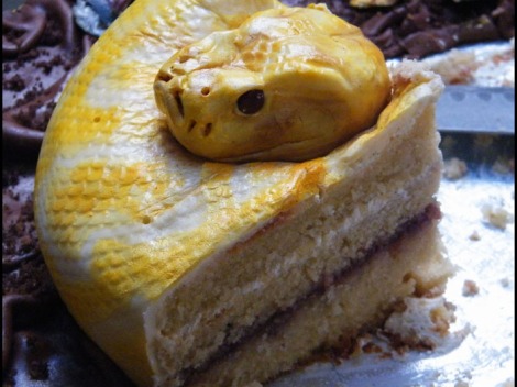 Spooky Snake Cake